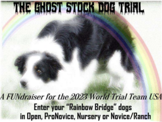 World Trial Fundraiser – Ghost Trial