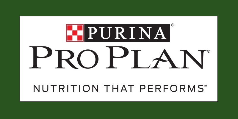 Purina Top Open Field Trial Dog – United States Border Collie Handlers ...